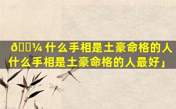 🐼 什么手相是土豪命格的人「什么手相是土豪命格的人最好」